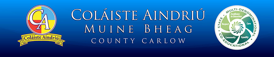 Coláiste Aindriú, Kilcarrig, Muine Bheag, Co. Carlow